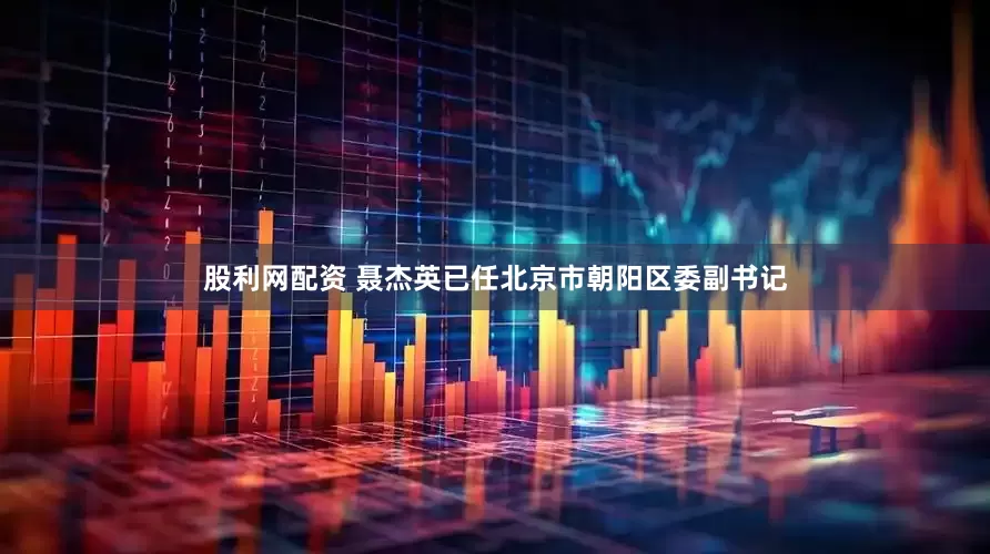 股利网配资 聂杰英已任北京市朝阳区委副书记