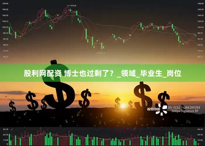 股利网配资 博士也过剩了？_领域_毕业生_岗位